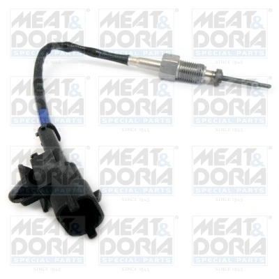 Sensor, exhaust gas temperature